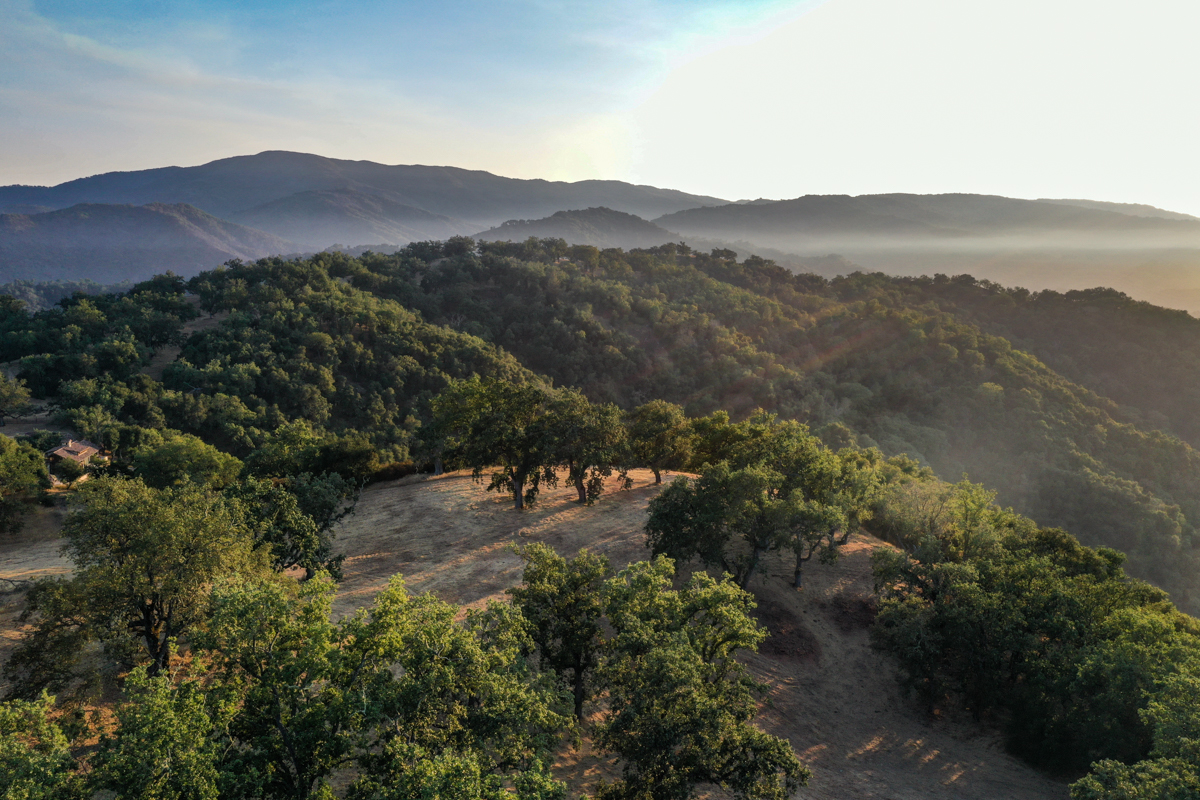 Lot 236
21 Long Ridge Trail  Santa Lucia Preserve