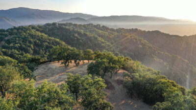 Lot 236
21 Long Ridge Trail  Santa Lucia Preserve