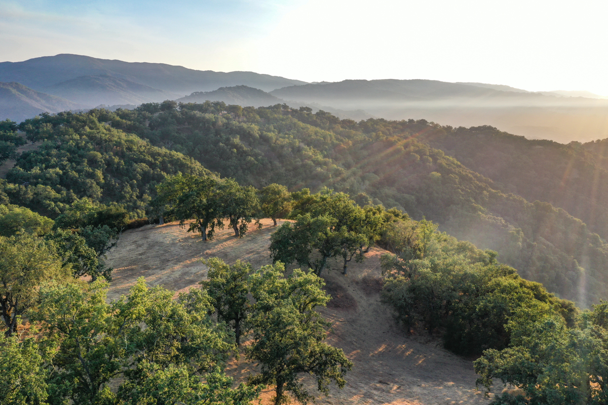 Lot 236
21 Long Ridge Trail Santa Lucia Preserve