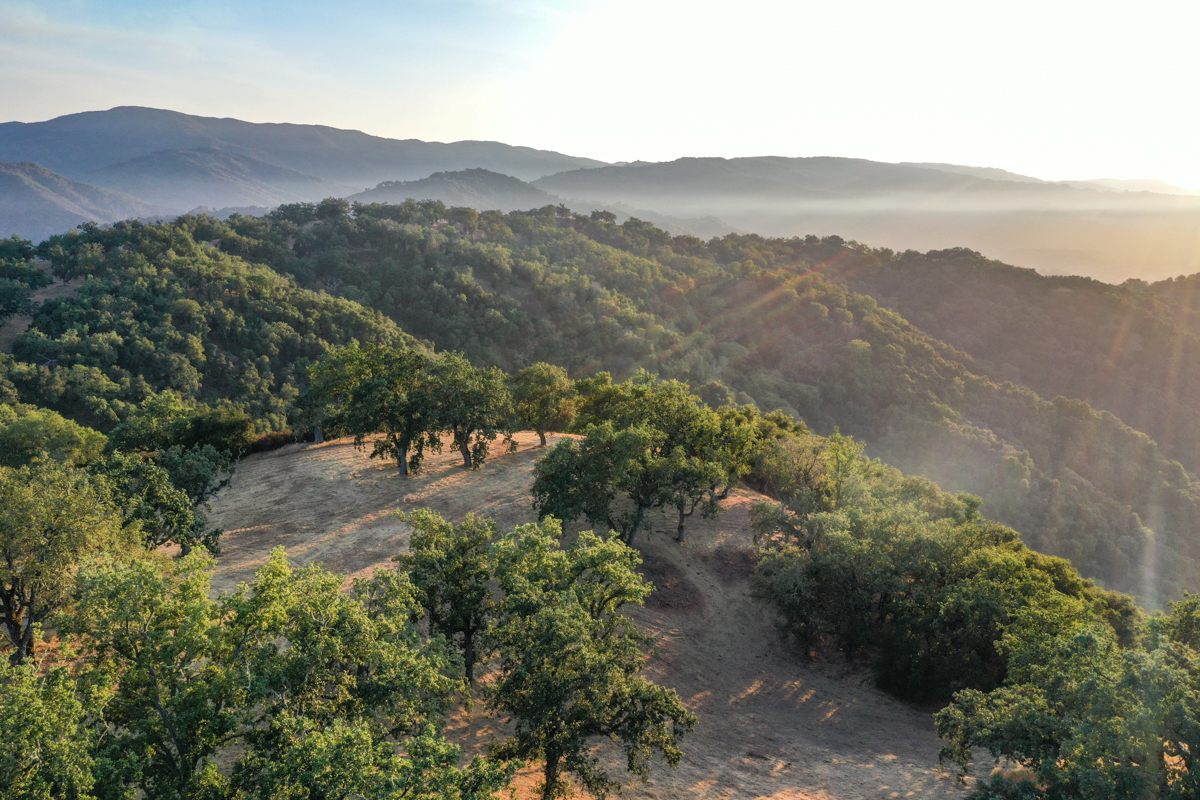 Lot 236
21 Long Ridge Trail  Santa Lucia Preserve