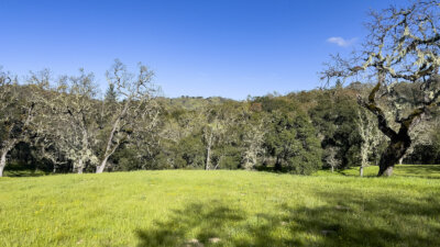 Lot 105 22 Arroyo Sequoia 2024