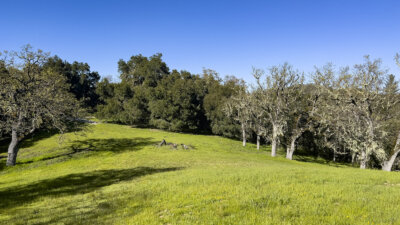 Lot 105 22 Arroyo Sequoia 2024