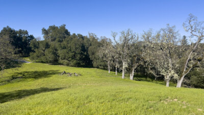 Lot 105 22 Arroyo Sequoia 2024