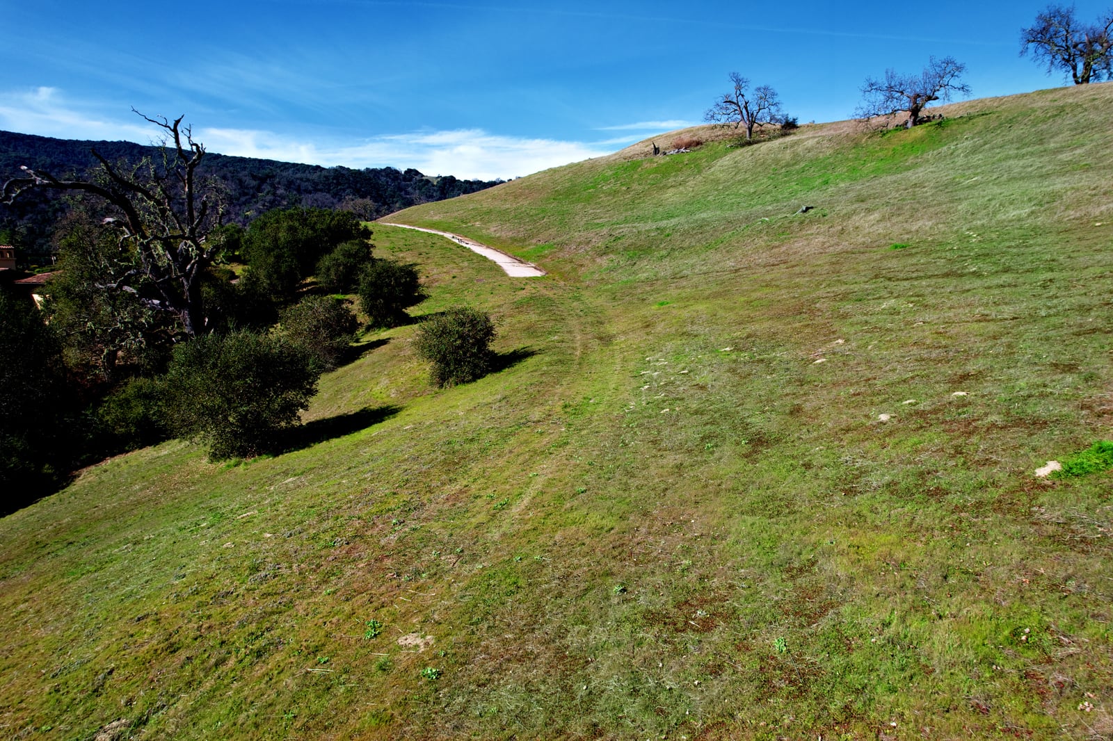 MLS_14_DJI_0730_Radiant-37 Pronghorn Run - La Tierra Reality 2025 downsized