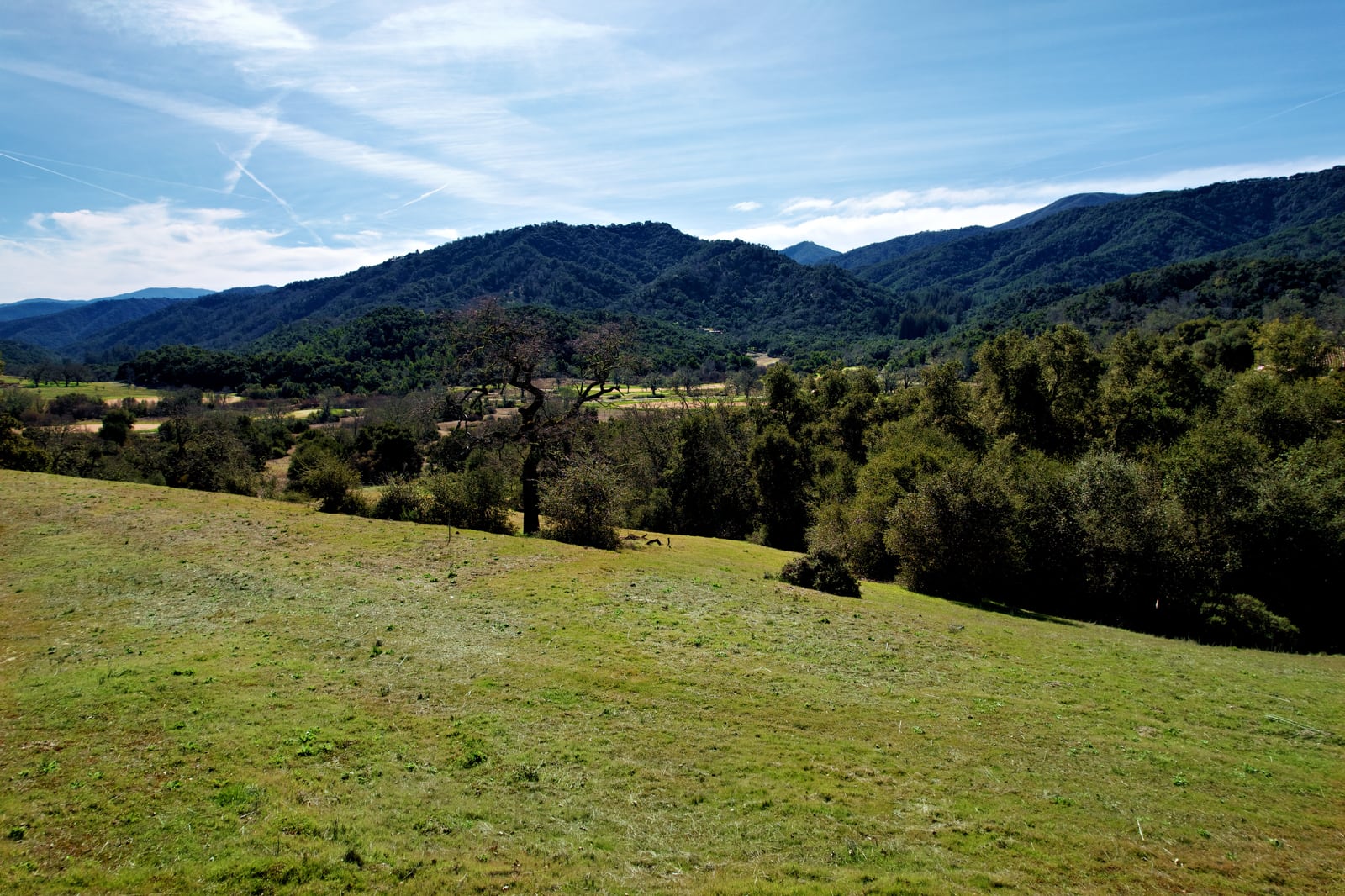 MLS_3_DJI_0729_Radiant-37 Pronghorn Run - La Tierra Reality 2025 downsized