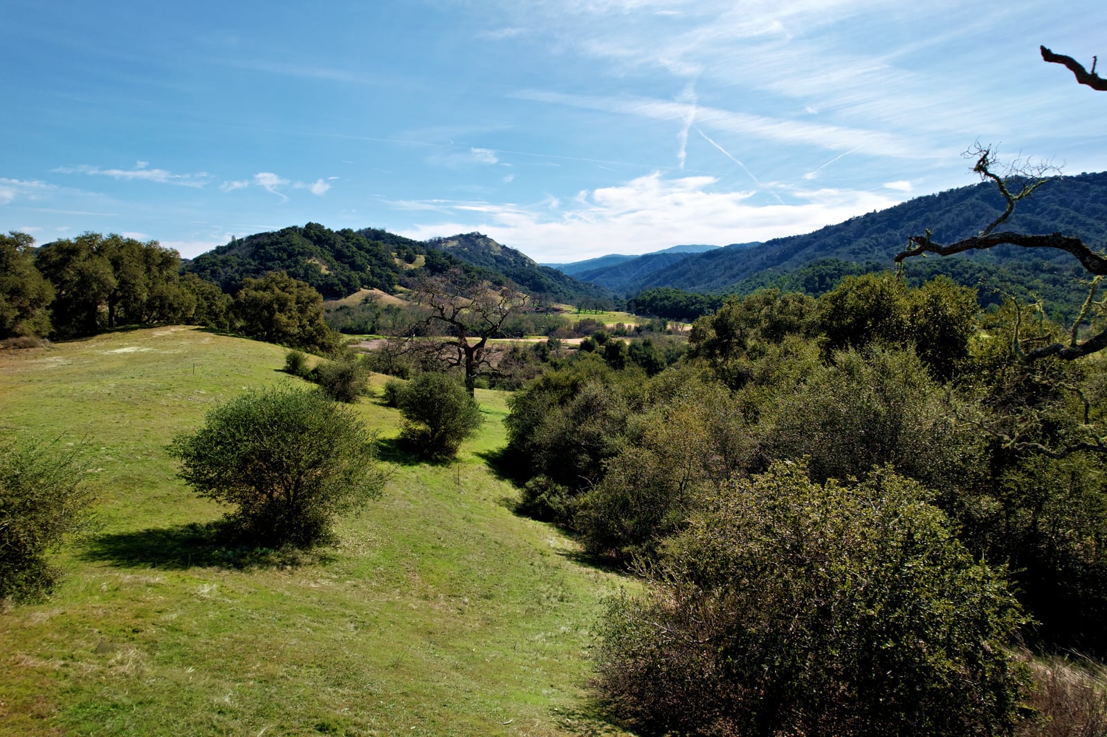 MLS_5_DJI_0715_Radiant-37 Pronghorn Run - La Tierra Reality 2025 downsized