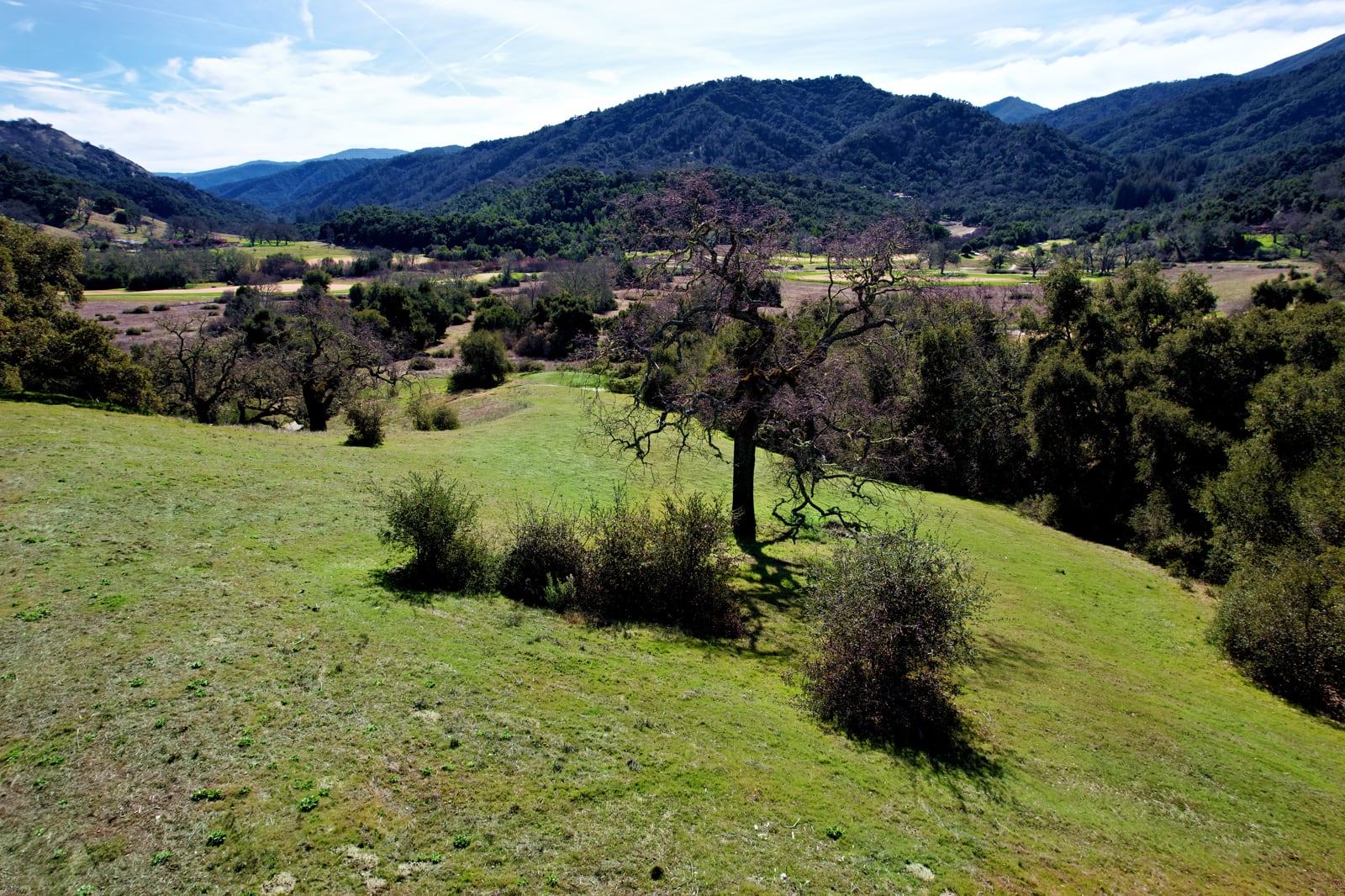 MLS_7_DJI_0706_Radiant-37 Pronghorn Run - La Tierra Reality 2025 downsized