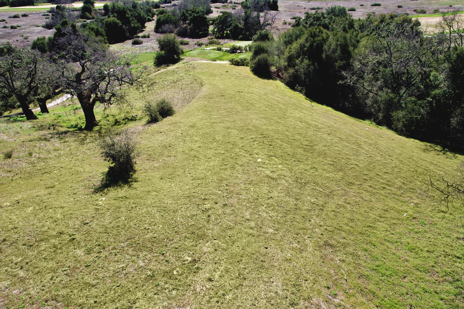 MLS_9_DJI_0694_Radiant-37 Pronghorn Run - La Tierra Reality 2025 downsized