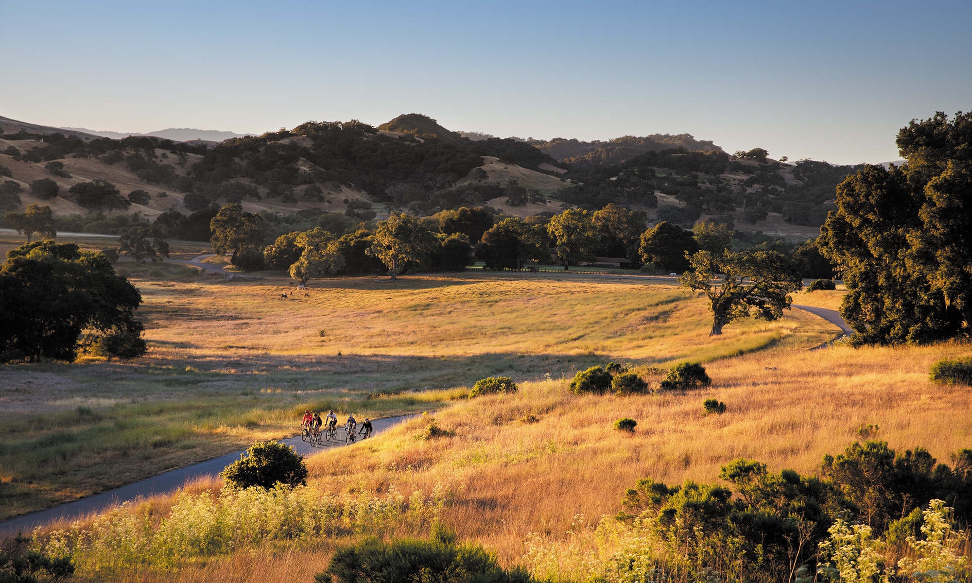 santa-lucia-preserve-biking-trails