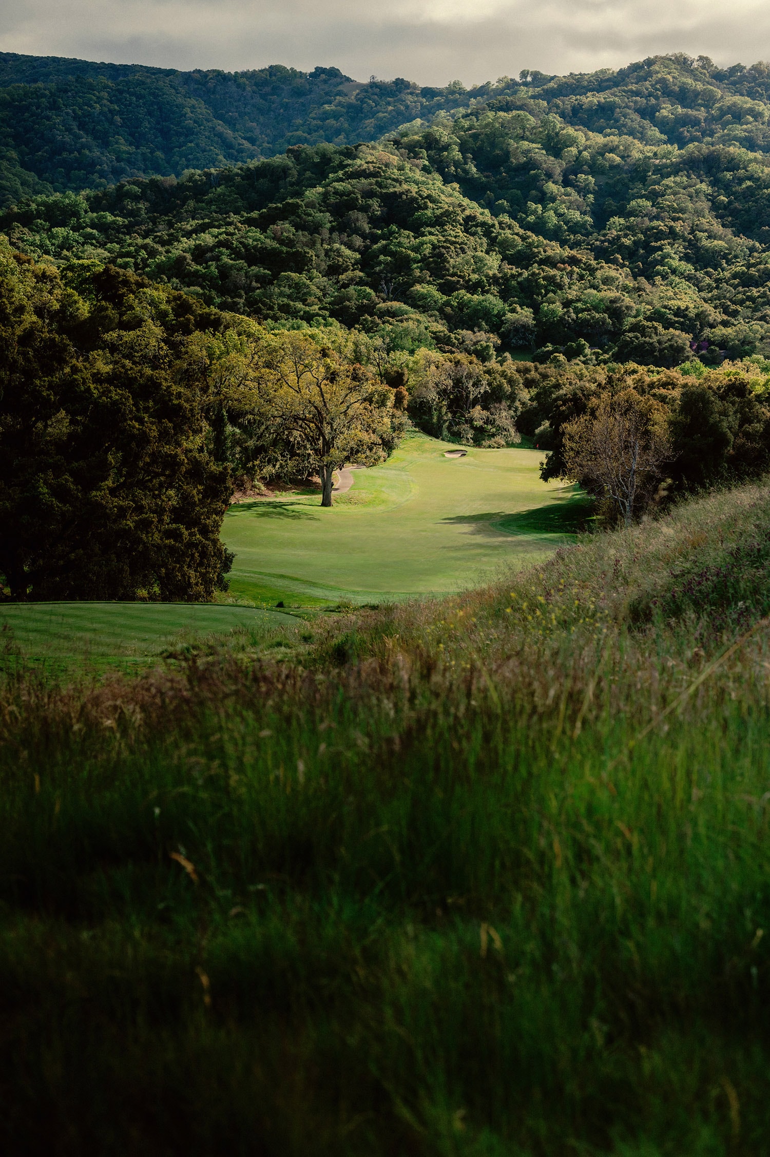 santa lucia preserve